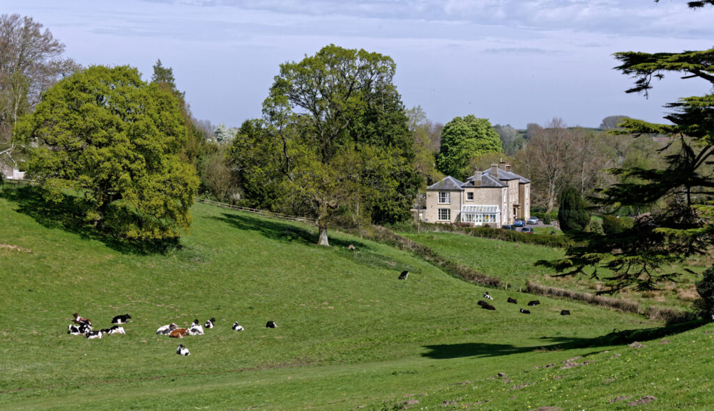 Local Walks - Discover Crewkerne